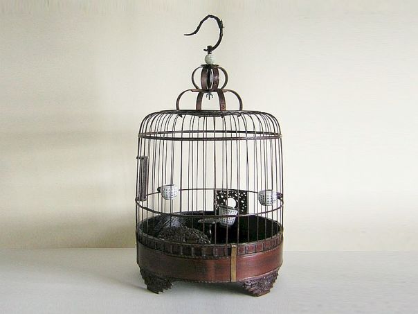 Bird cage – (3986)